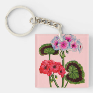 geranium