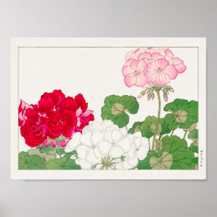 Geranium av Tanigami Konan Poster