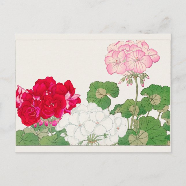 Geranium av Tanigami Konan Vykort (Framsida)