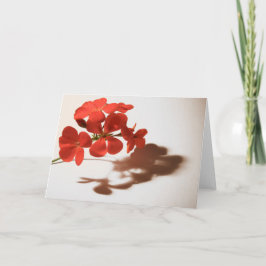 Geranium Blank Card Sympathy Condolence Kort