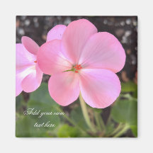 Geranium-blomsternät lägger till text som du gilla