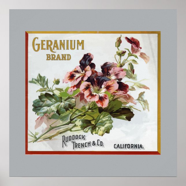 Geranium Brand Fruit Låda-etikett Poster (Framsidan)