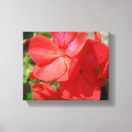 Geranium Canvastryck