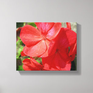 Geranium Canvastryck