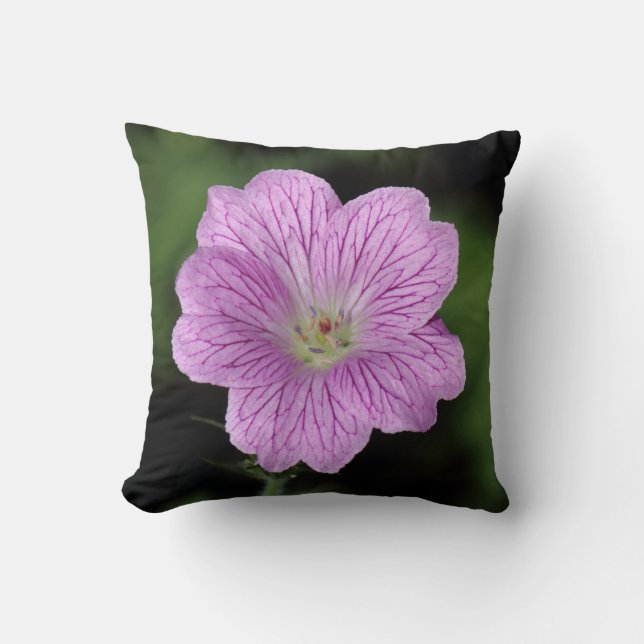 Geranium Endressii Kudde (Framsida)