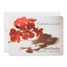 Geranium Firande of Life Funeral Notice