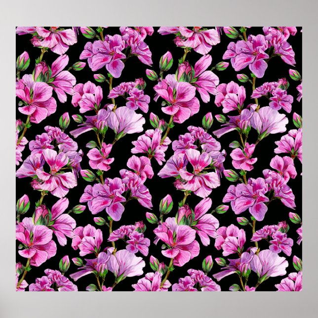 Geranium grenar, rosa buds. poster (Framsidan)