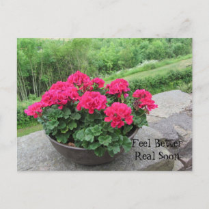 Geranium - Känn bättre snart Vykort