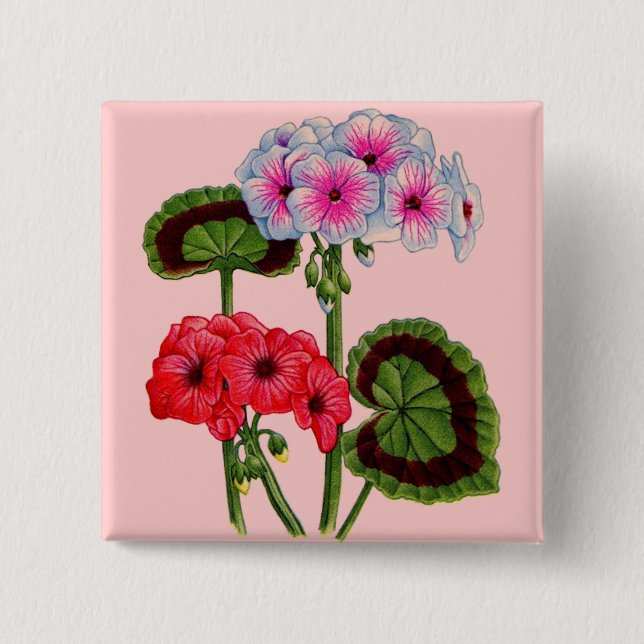 geranium knapp (Framsida)