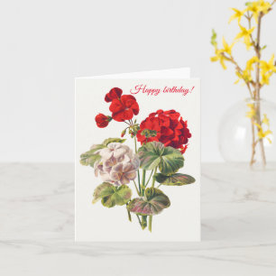 Geranium Kort