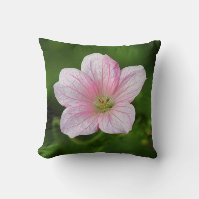 Geranium Kudde (Framsida)