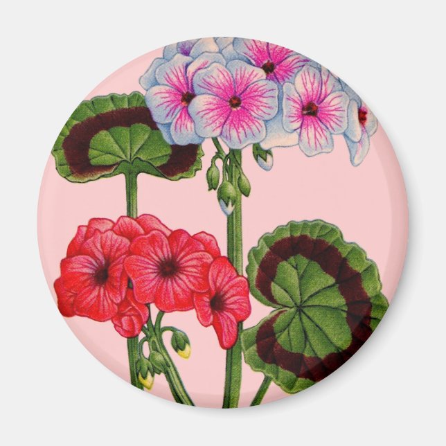 geranium magnet (Framsidan)