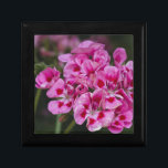 geranium minnesask<br><div class="desc">pelargonet i trädgården</div>