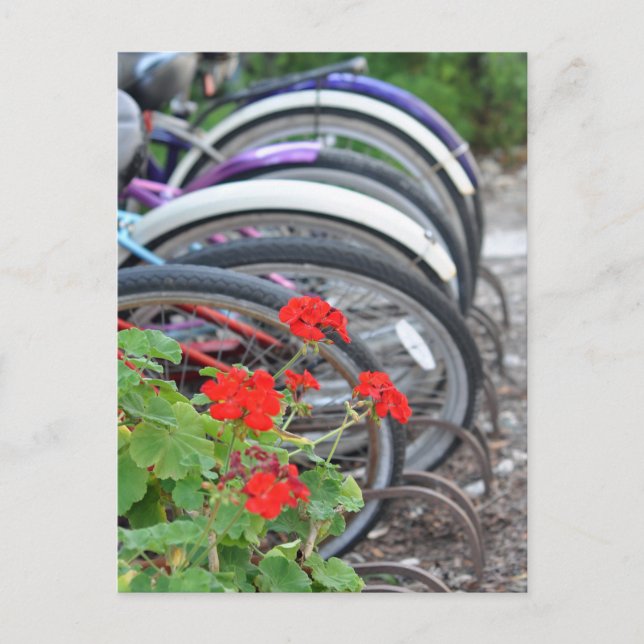 Geranium och Bicycles Vykort (Framsida)