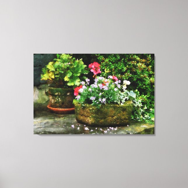 Geranium och Lavender Flowers Canvastryck (Framsida)