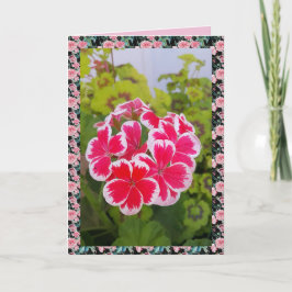 Geranium Pelargonium Blomsterträdgård blommigt Car Kort