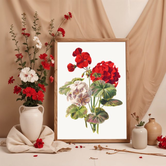 Geranium Poster (Skapare uppladdad)
