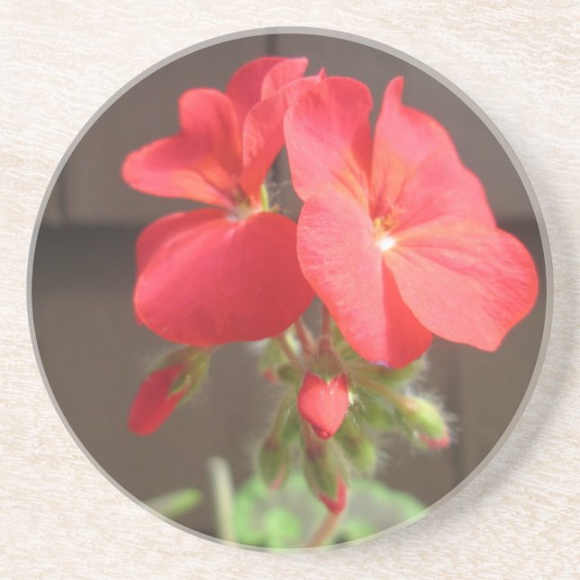 Geranium Red Underlägg (Framsidan)