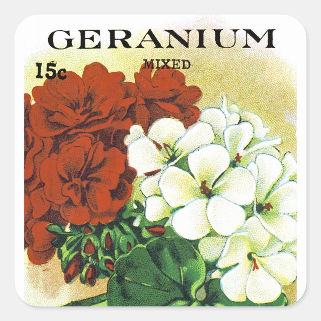 Geranium Seed Packet Label Fyrkantigt Klistermärke (Framsida)