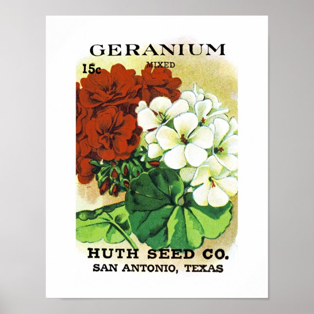 Geranium Seed Packet Label Poster (Framsidan)