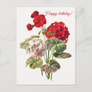 Geranium vykort