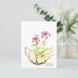 Geranium wildflower watercolor vykort