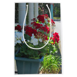 Geraniumblommor - Martha's Vineyard