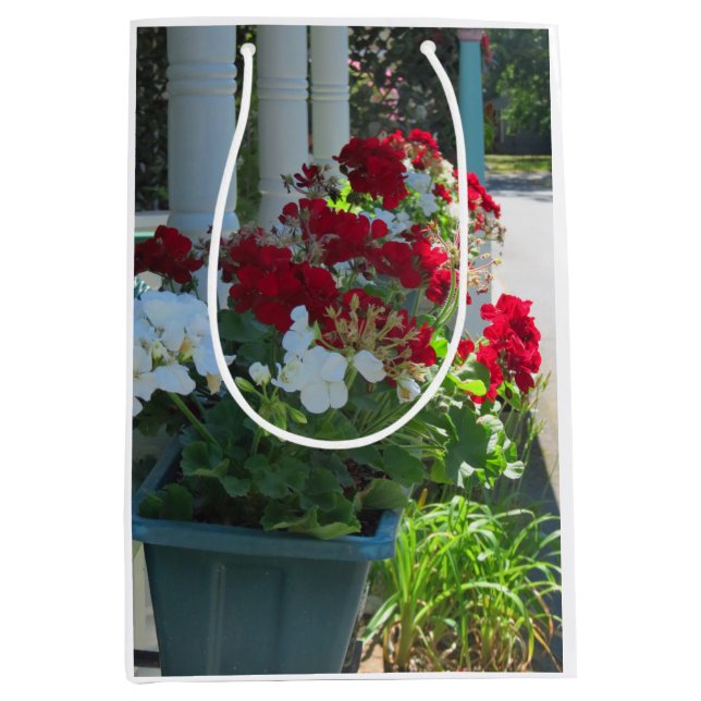 Geraniumblommor - Martha's Vineyard (Framsidan)