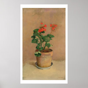 Geraniums in a Pot, c.1905 (oil on canvas) Poster