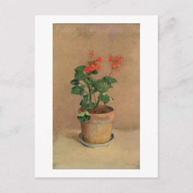 Geraniums in a Pot, c.1905 (oil on canvas) Vykort (Framsida)