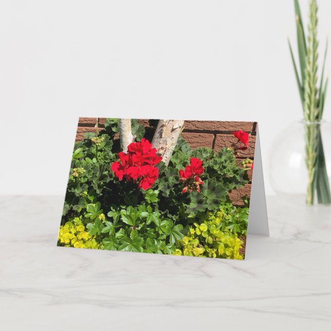 Geraniums Kort (Framsida)