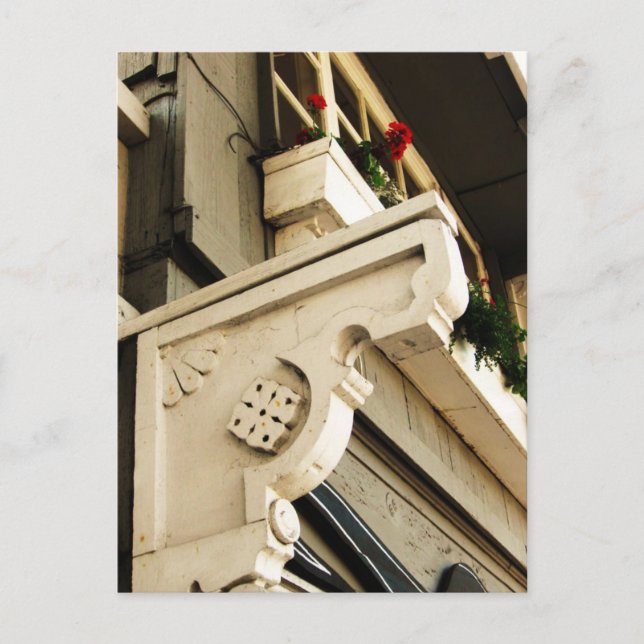 Geraniums Vykort (Framsida)