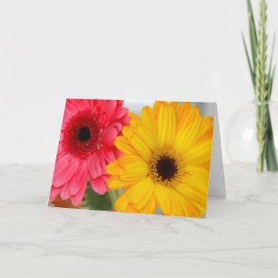 Gerber Daises Vänskap Greeting Card Kort