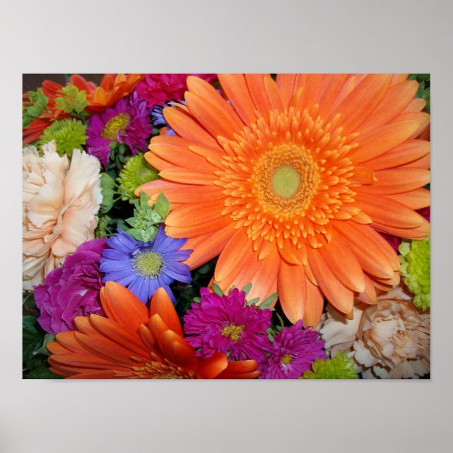 Gerber Daisy Arrangemang Poster (Framsidan)