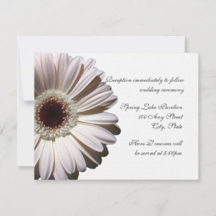 Gerber Daisy Bröllop Inbjudningar