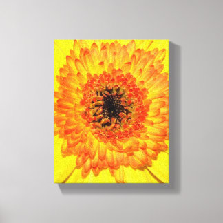 Gerber Daisy Canvastryck