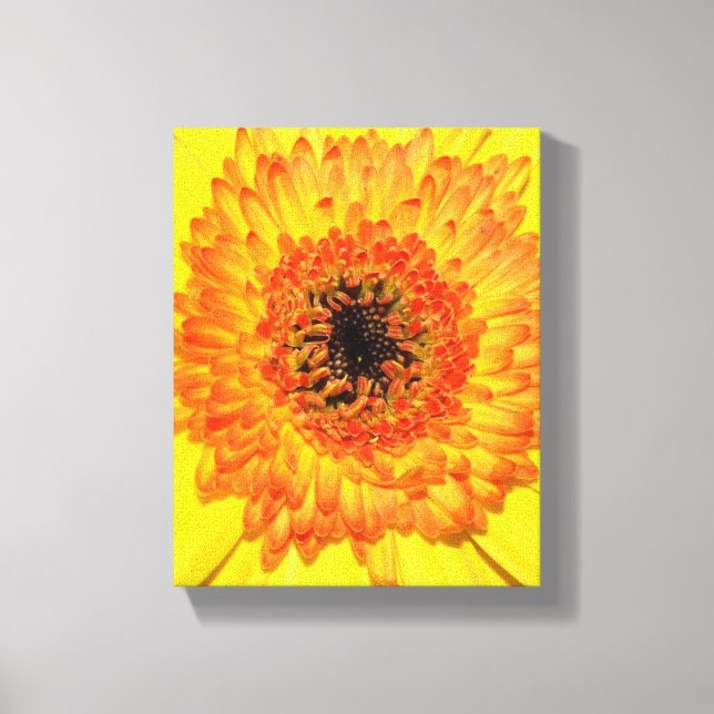 Gerber Daisy Canvastryck (Framsida)