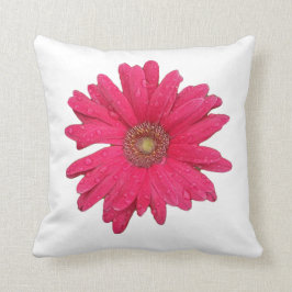 Gerber Daisy Dekorativ kudde