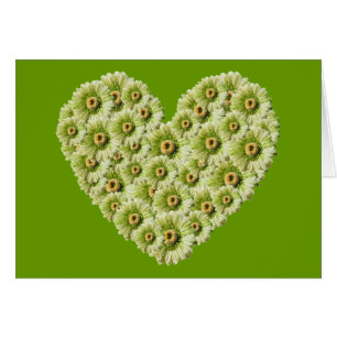 Gerber Daisy Heart Hälsningskort