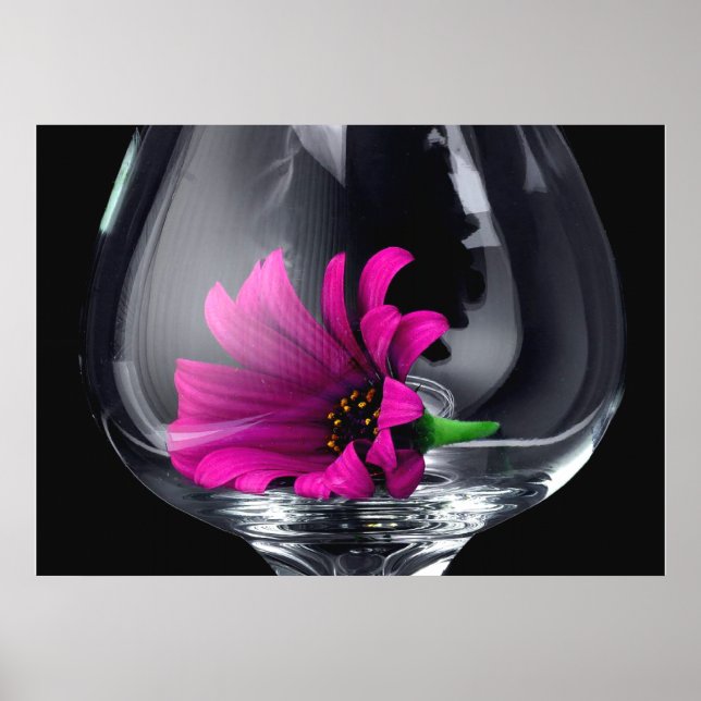 Gerber Daisy i Vin Glass POSTER eller kort (Framsidan)