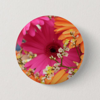 Gerber daisy knapp