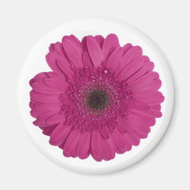 Gerber Daisy Magnet (Framsidan)