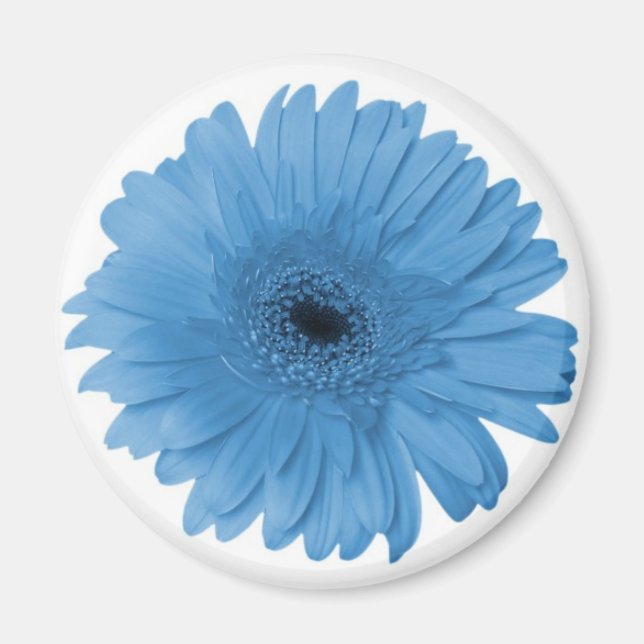 Gerber Daisy Magnet (Framsidan)