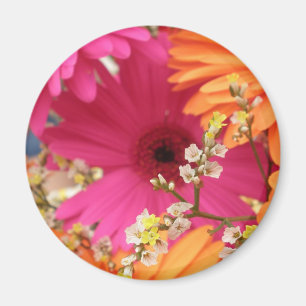 Gerber daisy magnet