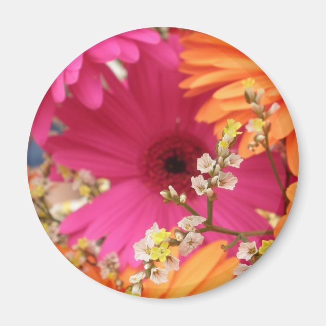 Gerber Daisy Magnet (Framsidan)