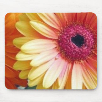Gerber daisy Mousepad Musmatta
