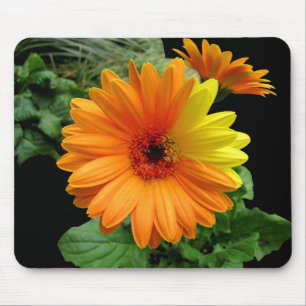 GERBER DAISY-MOUSEPAD MUSMATTA