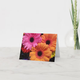 Gerber daisy orange rosa Blommor notecard Kort