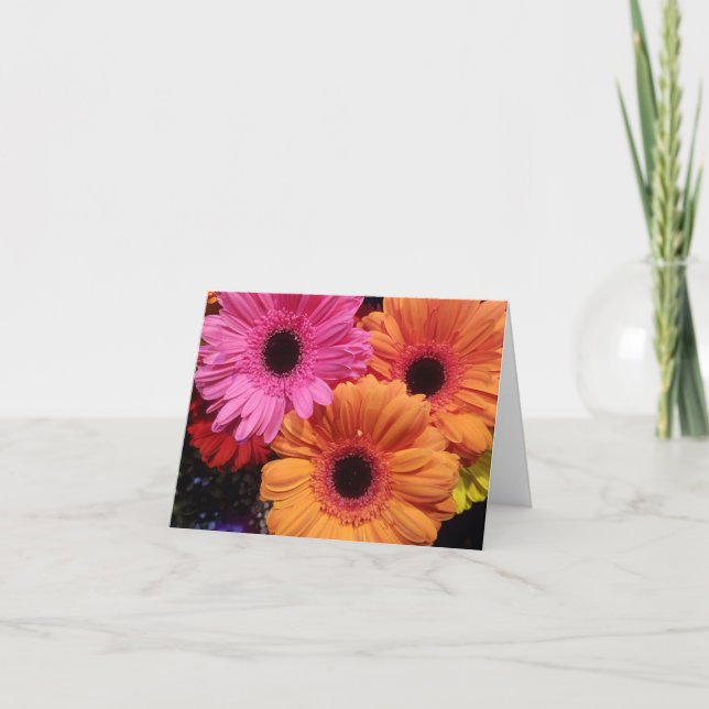 Gerber daisy orange rosa Blommor notecard Kort (Framsida)