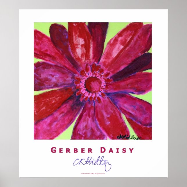 Gerber Daisy Poster (Framsidan)